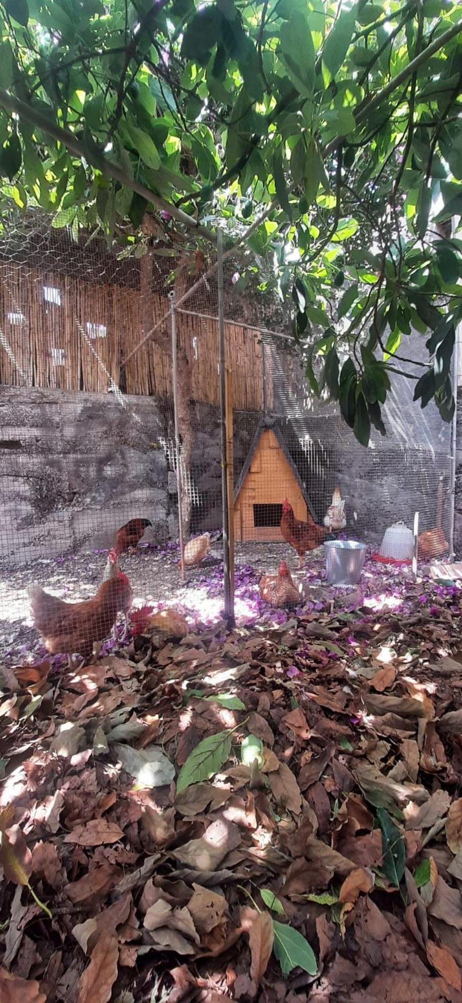 Finca El Atardecer サンタクルスデテネリフェ エクステリア 写真